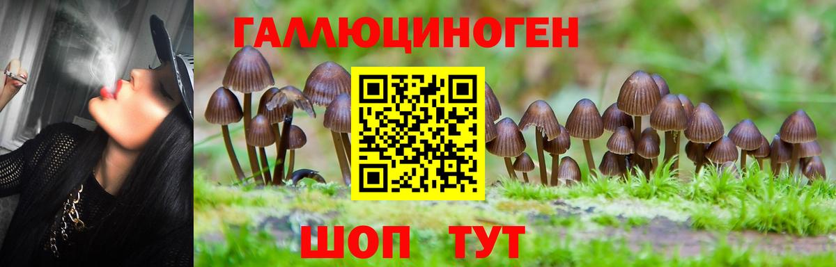 Североуральск  Псилоцибиновые грибы GOLDEN TEACHER  Вход с VPN 